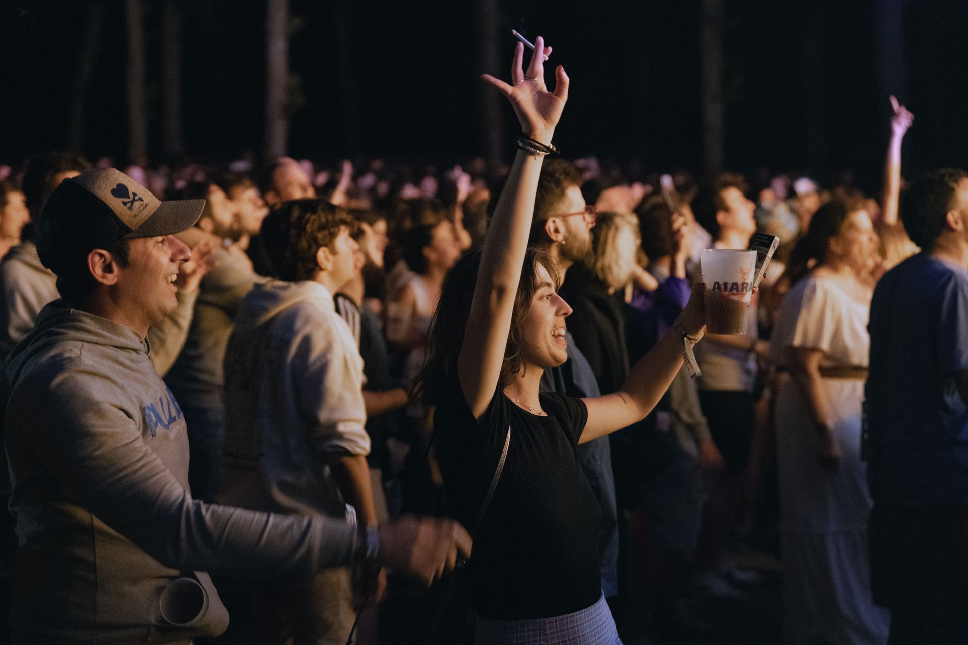 Public de concert nocturne bras leves face a la scene, foule en fete, echo mondial de l histoire du reggae en festival live
